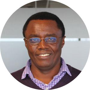 Professor Isaac Luginaah